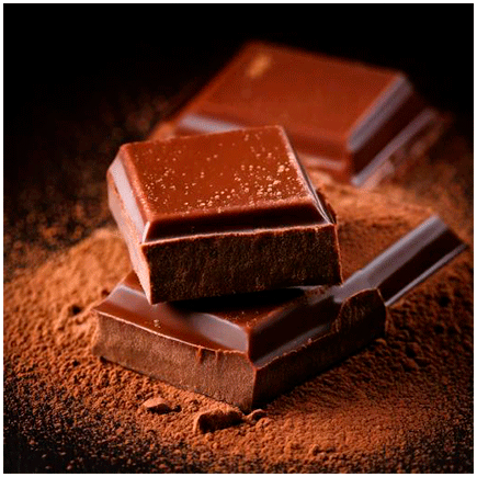 Chocolate 4531 Natural flavor in Powder